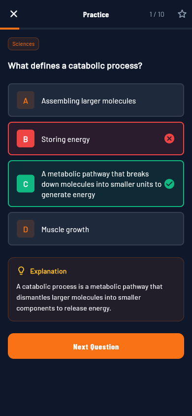 Answer feedback